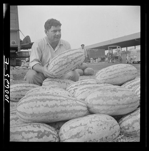 Washington, D.C. Watermelon vendor at the farmers' market
