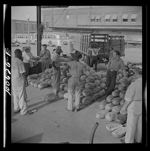 Washington, D.C. Unloading watermelons at the farmers' market