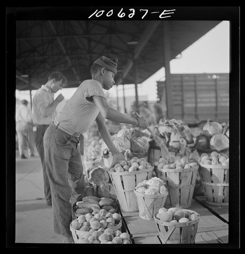 Washington, D.C. Whisking dust off peaches on sale at the farmers' market