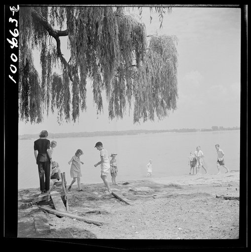 Untitled photo, possibly related to: St. Mary's County, Maryland. Sunday school picnic on the Fourth of July, on the edge of the Patuxent River