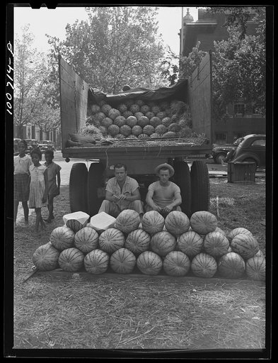 Washington, D.C. Watermelon vendors at the farmers' market