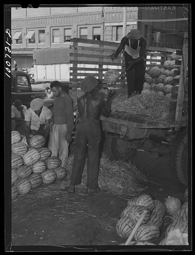 Untitled photo, possibly related to: Washington, D.C. Unloading watermelons at the farmers' market