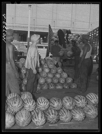 Washington, D.C. Unloading watermelons at the farmers' market