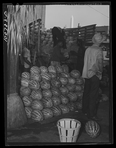 Washington, D.C. Unloading watermelons at the farmers' market