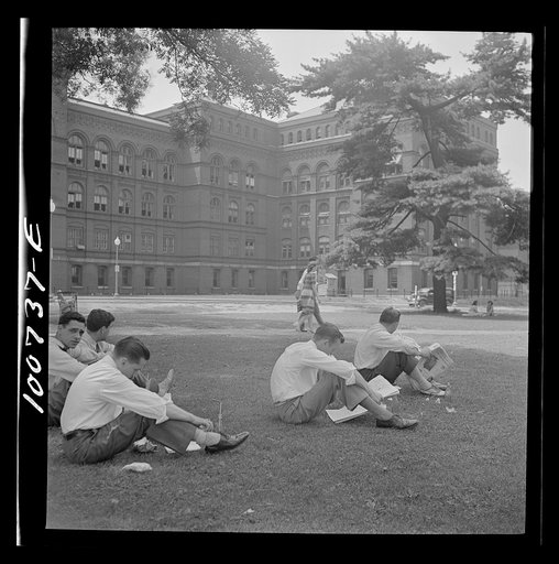 Untitled photo, possibly related to: Washington, D.C. Government workers lunching and resting in Washington Monument park outside the U.S. Department of Agriculture