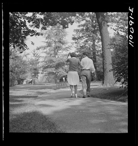 Detroit, Michigan. High school students strolling through the zoological park