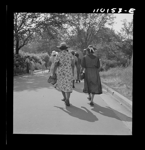 Detroit, Michigan. Middle-aged women walking in the zoological park