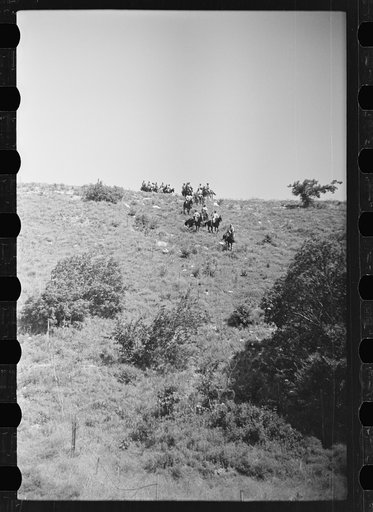 Fort Riley, Kansas. Cavalry unit moving over difficult terrain