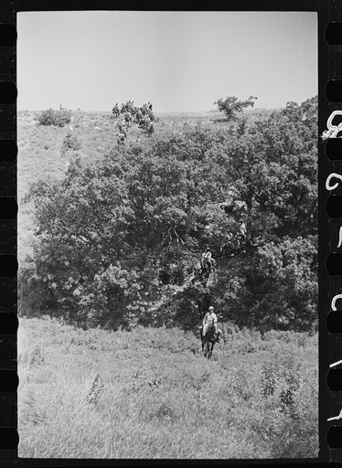 Fort Riley, Kansas. Cavalry unit moving over difficult terrain