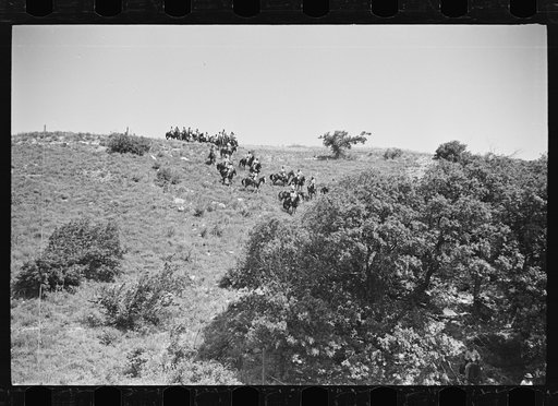 Fort Riley, Kansas. Cavalry unit moving over difficult terrain