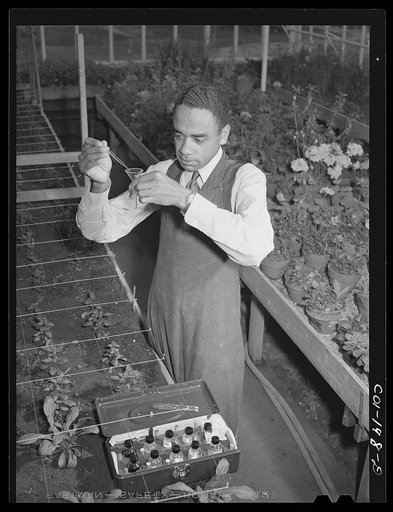Tuskegee Institute, Alabama. Botanist