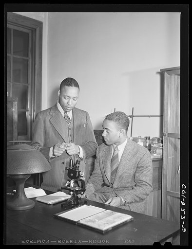 Untitled photo, possibly related to: Atlanta University, Atlanta, Georgia. Zoology student