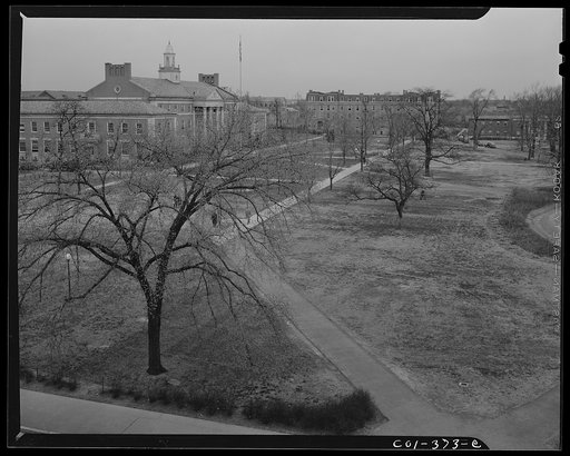 Untitled photo, possibly related to: Washington, D.C. Campus of Howard University