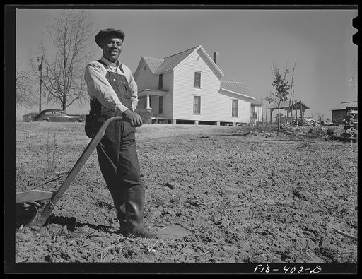 Zebulon, North Carolina. Feggen Jones resting on a plow in the field near his house