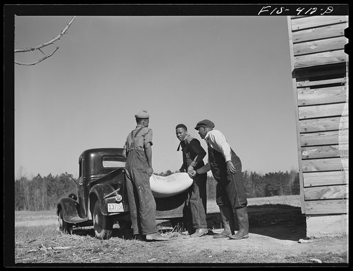 Zebulon, North Carolina. Feggen Jones helping his sons load fertilizer on a truck