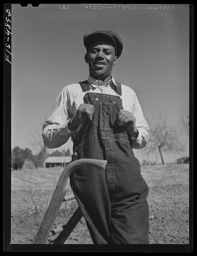 Zebulon, North Carolina. Feggen Jones lives with fourteen children on an eighty-six acre farm purchased through the FSA (Farm Security Administration). He has two cows, three mules, four hogs, two hundred chickens, two dogs and a cat. He owns a Ford truck and an Oldsmobile sedan. His cash crop is se