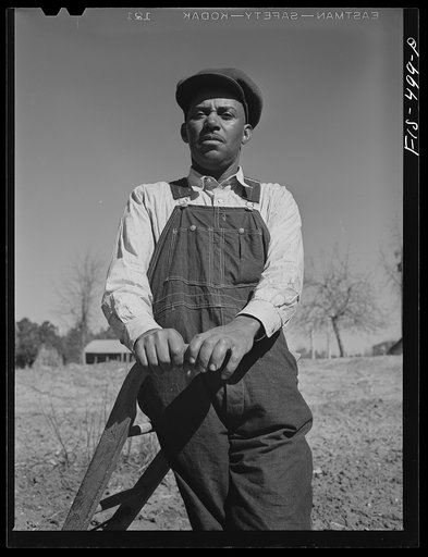 Untitled photo, possibly related to: Zebulon, North Carolina. Feggen Jones resting on a plow in the field near his house