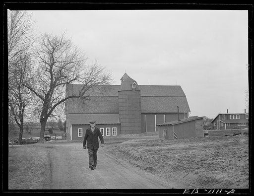 A Swedish farmer in Minnesota