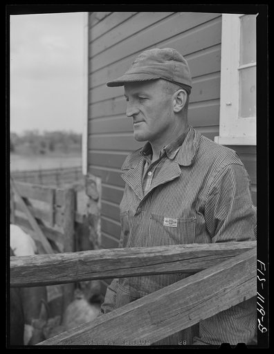 A Swedish farmer in Minnesota