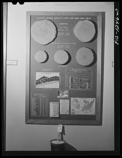Forest Products Laboratory, Madison, Wisconsin. Exhibit panel on proper logging methods