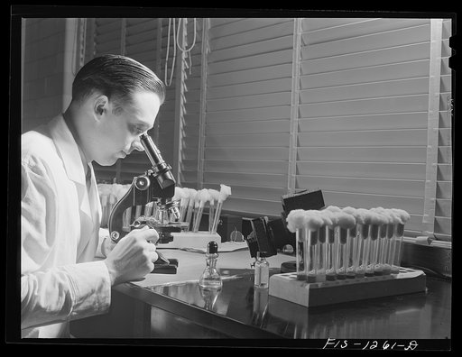 Dr. E.A. Steinhaus examining diseased germs isolated from ticks. USPHS (United States Public Health Service) Rocky Mountain Laboratory, Hamilton, Montana