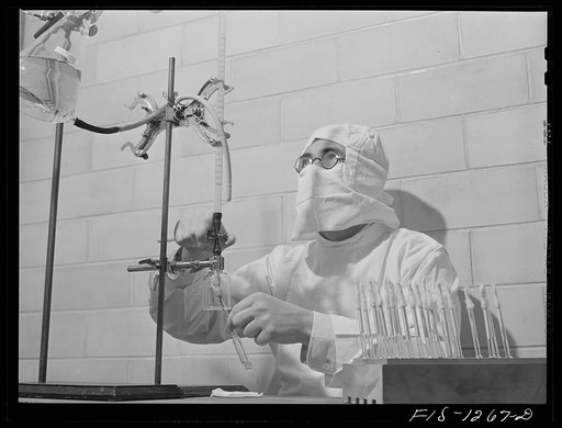 Dispensing yellow fever vaccine into ampules. USPHS (United States Public Health Service) Rocky Mountain Laboratory, Hamilton, Montana