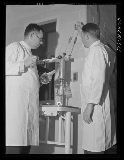 Filtering human serum used in preparation of yellow fever vaccine. USPHS (United States Public Health Service)  Rocky Mountain Laboratory, Hamilton, Montana