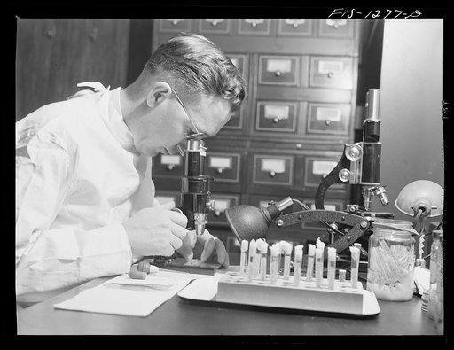 Bacteriologist at microscope. USPHS (United States Public Health Service)  Rocky Mountain Laboratory, Hamilton, Montana