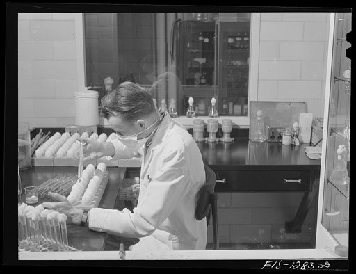 Dr. Cox's assistant innoculating eggs with louse-borne typhus germs. USPHS (United States Public Health Service)  Rocky Mountain Laboratory, Hamilton, Montana