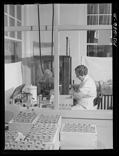 Bottling eight cubic centimeter quantities of typhus vaccine for shipment. USPHS (United States Public Health Service)  Rocky Mountain Laboratory, Hamilton, Montana