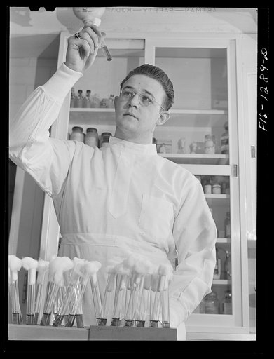 Examining strain cultures for possible contamination. USPHS (United States Public Health Service)  Rocky Mountain Laboratory, Hamilton, Montana