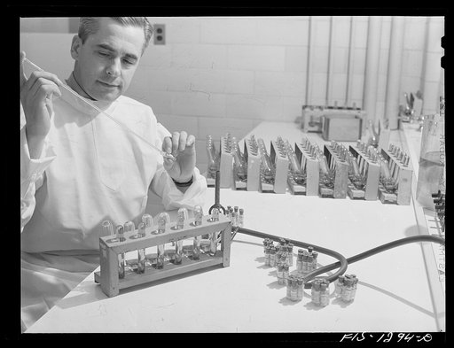 The sterility of each batch of vaccine is tested before it leaves the laboratory. USPHS (United States Public Health Service)  Rocky Mountain Laboratory, Hamilton, Montana