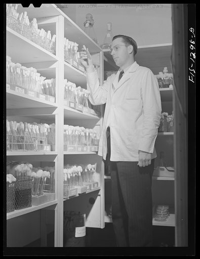 Dr. E.A. Steinhaus and his collection of bacteria cultures isolated from insects and ticks, kept alive in cold storage. USPHS (United States Public Health Service)  Rocky Mountain Laboratory, Hamilton, Montana