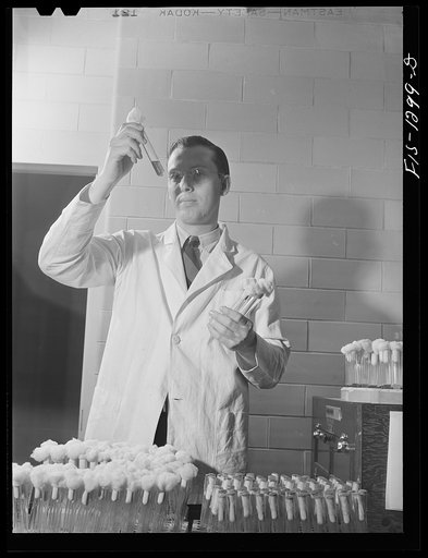 Dr. E.A. Steinhaus examining bacteria cultures from insects and ticks. USPHS (United States Public Health Service)  Rocky Mountain Laboratory, Hamilton, Montana