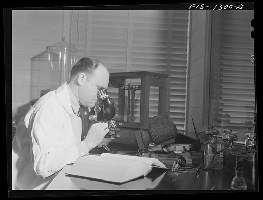 Doctor Herrald R. Cox who developed the method of producing typhus vaccine from infected eggs. USPHS (United States Public Health Service)  Rocky Mountain Laboratory. Hamilton, Montana