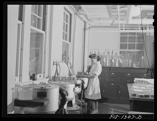 Placing crude typhus vaccine in centrifuging machines. USPHS (United States Public Health Service)  Rocky Mountain Laboratory. Hamilton, Montana