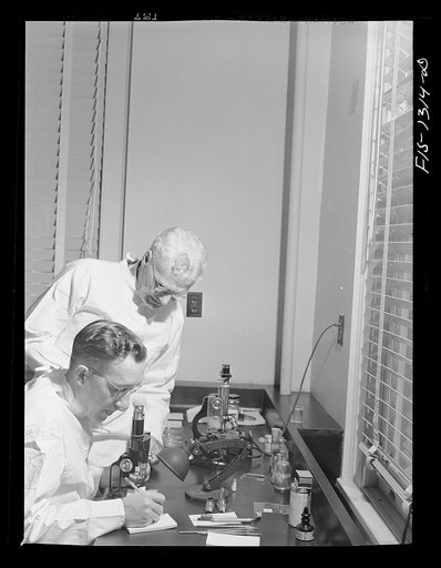 Doctor Cooley and Glen Kohls at work at microscope. USPHS (United States Public Health Service)  Rocky Mountain Laboratory. Hamilton, Montana