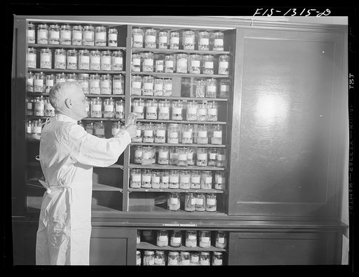 Doctor Cooley and his collection of ticks from all parts of the world. USPHS (United States Public Health Service)  Rocky Mountain Laboratory. Hamilton, Montana