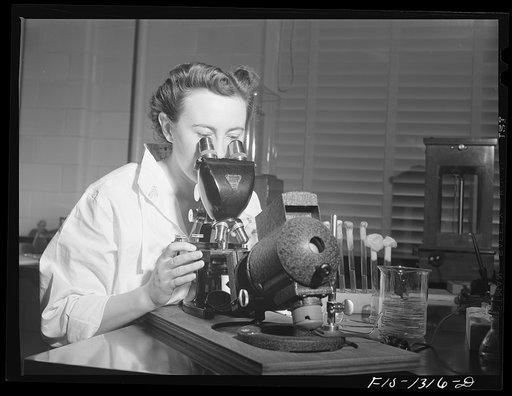 Miss Moore, assistant to Doctor Cox, at microscope. USPHS (United States Public Health Service)  Rocky Mountain Laboratory. Hamilton, Montana