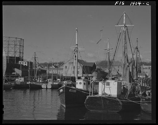New Bedford, Massachusetts. Trawlers tied up at a fish wharf
