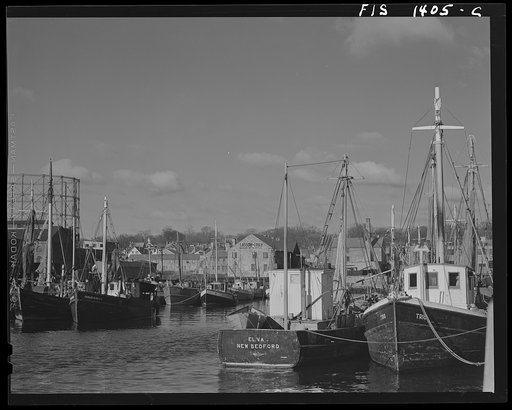 New Bedford, Massachusetts. Trawlers tied up at a fish wharf