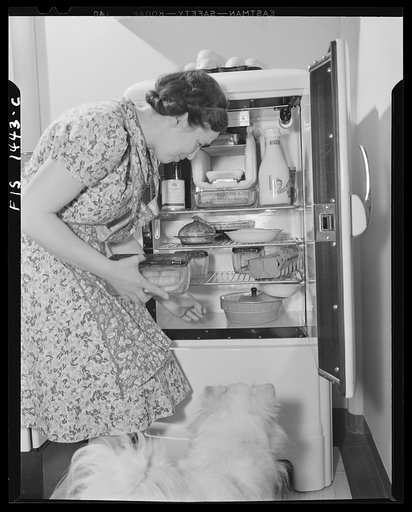 Untitled photo, possibly related to: New Bedford, Massachusetts. Wife of a Portuguese house painter