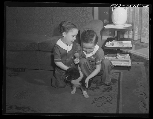 The Sounders children playing with their puppy "Blitz." Chicago, Illinois