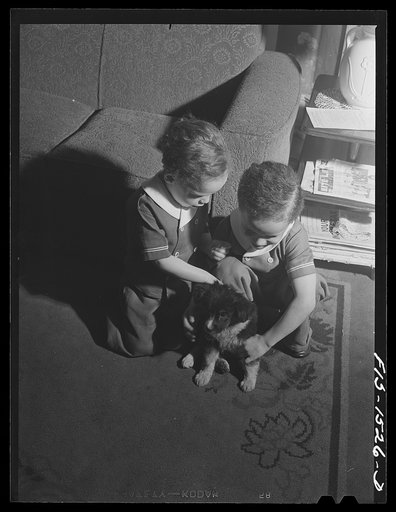 Untitled photo, possibly related to: The Sounders children playing with their puppy "Blitz." Chicago, Illinois