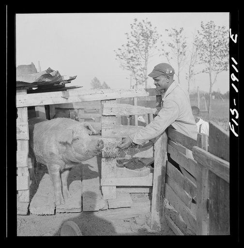Newport News, Virginia. Negro shipyard worker at his rural home