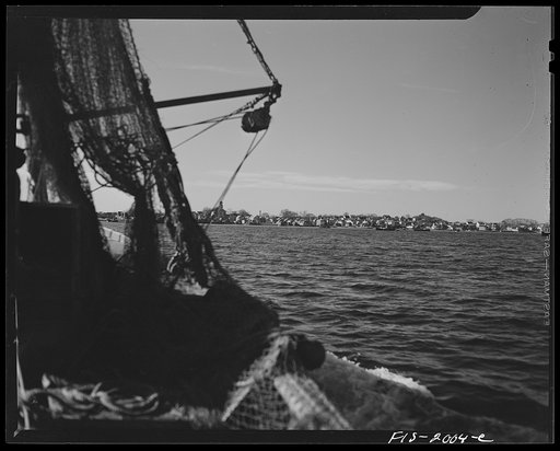 Untitled photo, possibly related to: Provincetown, Massachusetts. Aboard the Frances and Marion, a Portuguese drag trawler, fishing off Cape Cod. Hauling the trawl aboard