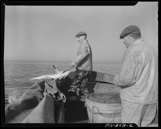 Untitled photo, possibly related to: Provincetown, Massachusetts. Portuguese dory fisherman rowing out to his boat at 4:30 in the morning to leave for the banks off Cape Cod