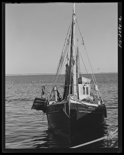 Untitled photo, possibly related to: Provincetown, Massachusetts. The Frances and Marion, a Portuguese trawler, in the harbor