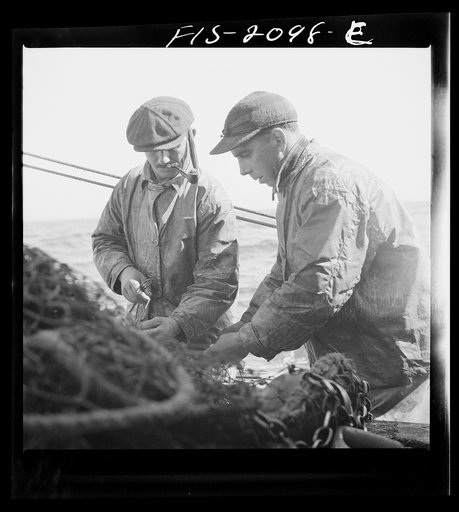 Untitled photo, possibly related to: Provincetown, Massachusetts. The trawl is constantly under repair, and while one net is down a second is being mended by all hands aboard the Portuguese drag trawler, Francis and Marion