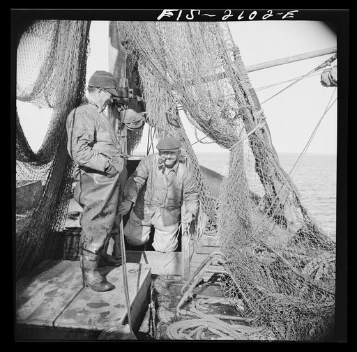 Provincetown, Massachusetts. Aboard the Frances and Marion, a Portuguese drag trawler, fishing off Cape Cod. Homeward bound from the banks, the drag nets are hoisted aloft to dry